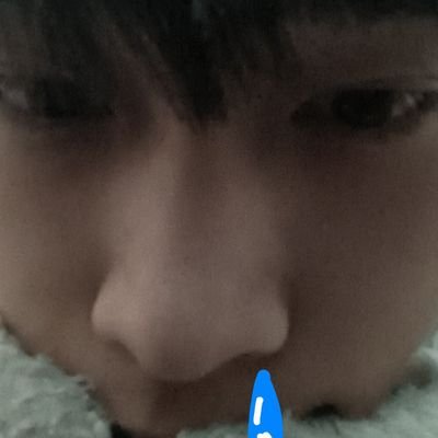 DucDien2406's profile picture. 