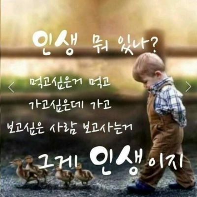 johj1200's profile picture. YES와NO는정확하게 한번아닌놈들은끝까지아니더라
기본이안된것들은가차없이깐다
