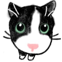 ❤️재개발 지역 고양이 도와주세요❤️앵순집사숭이 (@aengkrrrrr) 's Twitter Profile Photo