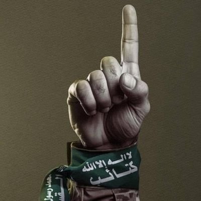 mardikohistani's profile picture. 