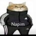 Napim (@napim454564) Twitter profile photo Napim (@napim454564) Twitter profile photo