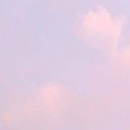 piedawnn's profile picture. 