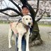 藤田祥悟 生まれてきた意味を問答したい清掃会社オーナー (@makepurify) Twitter profile photo 藤田祥悟 生まれてきた意味を問答したい清掃会社オーナー (@makepurify) Twitter profile photo