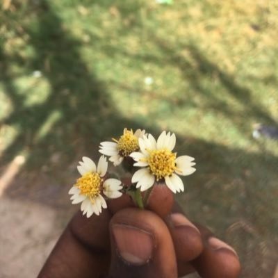 Otaku_kuma3's profile picture. 