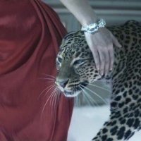 غَرْنِيقَة (@1__bz) Twitter profile photo