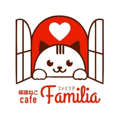 2017年9月広島県福山市にopenした保護猫カフェです。
営業時間:13時〜18時(最終受付 17時) 定休日(火曜・水曜)
完全予約制の1時間のみです。
ご来店時は、靴下着用をお願い致します。現在、小学生以上の方のご利用とさせて頂いております。
※コロナ感染症対策のため、飲み物の提供を一時的に中止しております。
