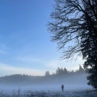 Henrik Sjöström 🌻 (@henriksjos) 's Twitter Profile