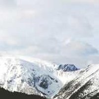 Morgann Laya (@layamorgan43961) 's Twitter Profile Photo