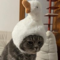 ちぇよ (@meowmeowkkt) 's Twitter Profile
