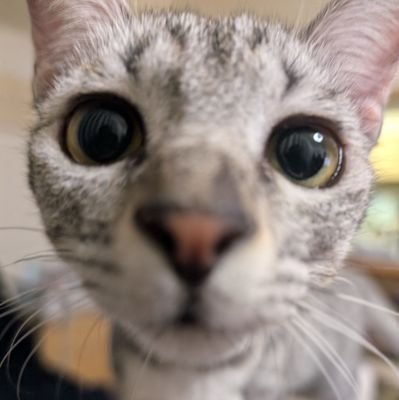 kawaiko_0107's profile picture. ネオンの輝く街に憧れて