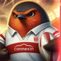 ❤🏉Tigersbabe2006🐯⚽ (@tigers_babe2006) 's Twitter Profile