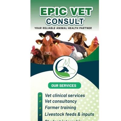 @epicvetconsult