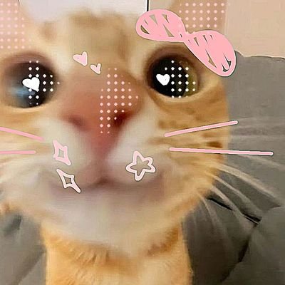 Gellychi🌱;3さんのプロフィール画像
