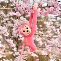 ma_🔰secondz🕰️🩷 (@luv_timelesz) 's Twitter Profile Photo