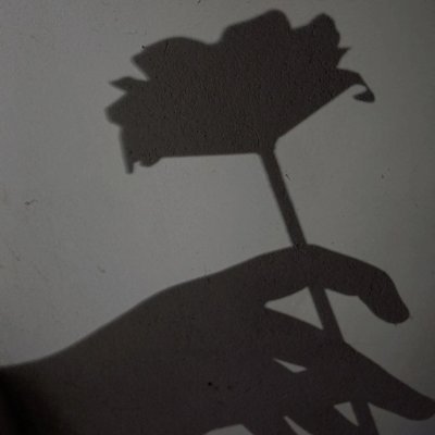 dowikws's profile picture. 𝑵ã𝒐 𝒗𝒂𝒍𝒆 𝒂 𝒑𝒆𝒏𝒂.