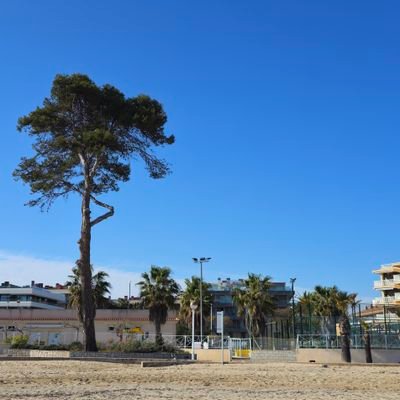 jasss73's profile picture. 🇹🇳