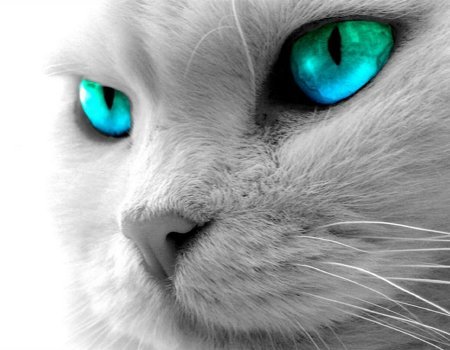 RafaAzul8's profile picture. ¡Me quise comer al mundo y el mundo me devoró a mi !