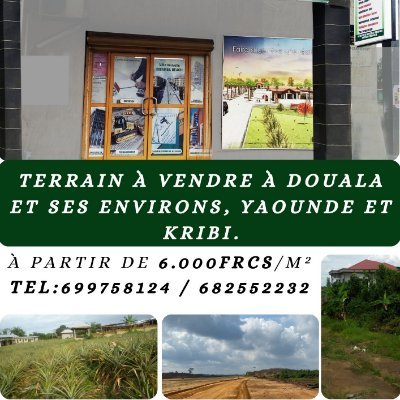 RegineTchouente's profile picture. SCI FRAGILIKO vous accompagne dans l'obtention de tous vos biens immobiliers de manière fiable, rapide et moins coûteuse.