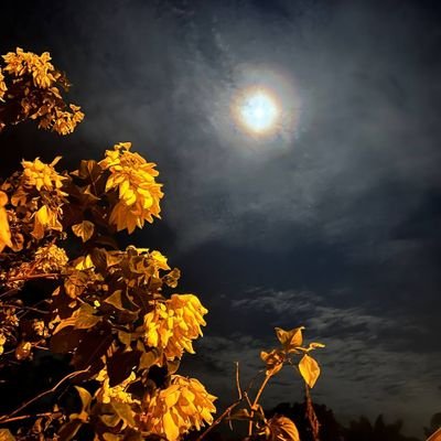 kieraafx's profile picture. 🌞❤