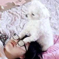 ໊ (@8ikaro) 's Twitter Profile Photo