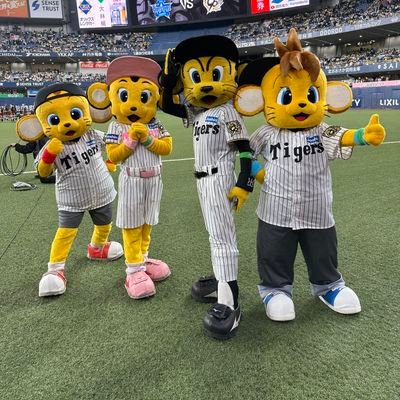 阪神タイガースファン、
東方Projectファン、
漫画アニメファン、
プリキュアファン、
(甲子園ホームランテラス、
フィールドシート設置、セ・リーグTV・NPBTV希望)、
選挙に投票🗳️しに行こう!、
メガソーラー反対、
胴上げまで油断しない!勝ちたいんや!
阪神タイガースM(マジック)3 もう少し!