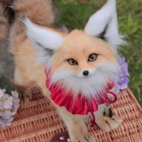 いぬやま (@littledoll_iym) 's Twitter Profile