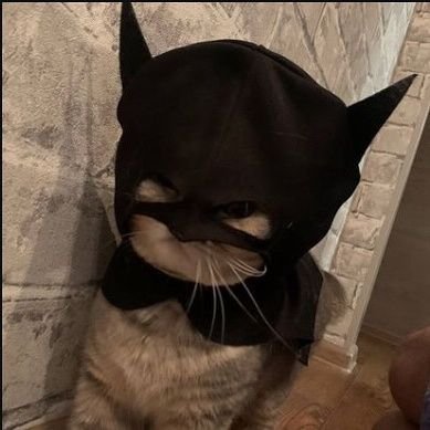 AliCivi10390250's profile picture. 