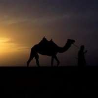 رحّال (@traveler_camel) 's Twitter Profile Photo