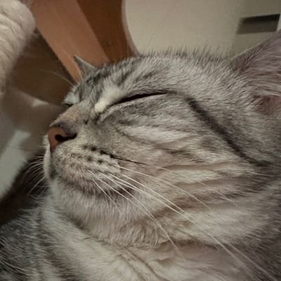 09:30🕯さんのプロフィール画像