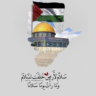 ﺃﻭَﺗـﺴـﺄﻟـﻮﻥ ﻟِـﻢَ ﻳَـﺮﺣـﻠـﻮﻥ؟ ..
ﻻ ﻳَـــﺮﻏَـﺒـﻮﻥَ ﻓُــﺘـﺎﺕَ ﺩُﻧـﻴـﺎ ﻏـﺎﺑِـﺮﺓ.💔
Palestine_Gaza🇵🇸