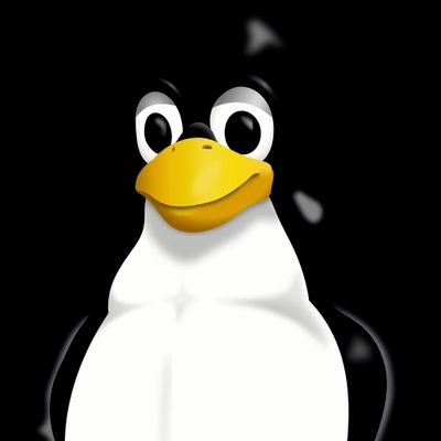 NullTechNode's profile picture. 💻