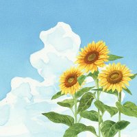 コバヤシクミ (@3y19v) 's Twitter Profile