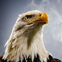 WoXyT19🇹🇷 (@woxyt19) 's Twitter Profile Photo