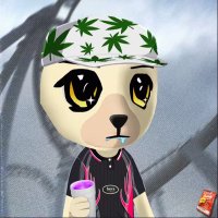 Jerry da bear (@_geriatricjerry) 's Twitter Profile
