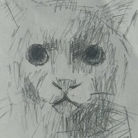 SASU (@sasu4728repeat1) 's Twitter Profile