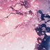 🌸オリパ屋桜花堂🌸 (@taka97963555) Twitter profile photo 🌸オリパ屋桜花堂🌸 (@taka97963555) Twitter profile photo