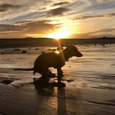 M4CHIN3isBAD's profile picture. 