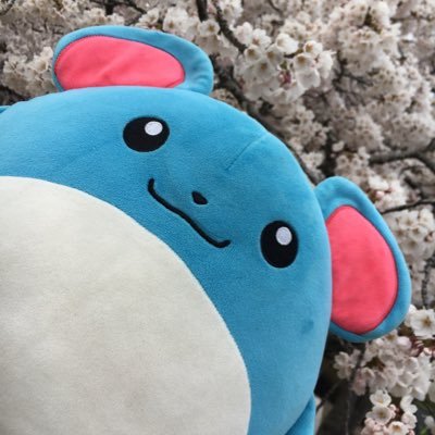 マリル愛好家なんだけどライチュウ多めかも?みずねずみとでんきねずみ。無言フォロー大歓迎です💧⚡️ #ポケモンぬい撮り ネズミがすごい。