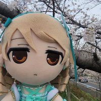 セレス (@selece_raywila) Twitter profile photo
