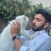 Bubbles🇵🇸 (@kysbasharat) Twitter profile photo Bubbles🇵🇸 (@kysbasharat) Twitter profile photo
