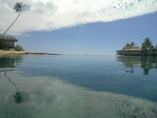 sltahiti's profile picture. Consultant