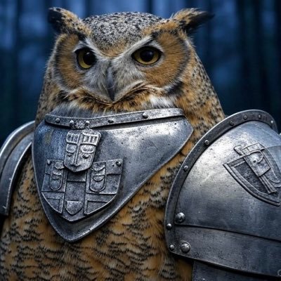 NknightOel's profile picture. ✝️