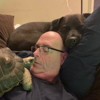 Joseph M. Piazza (@josephmpia1355) 's Twitter Profile