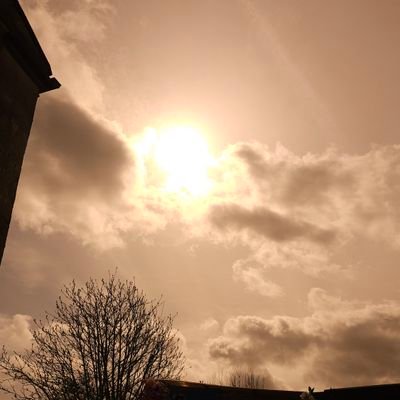 treboryenotsuk's profile picture. #StopOnlineAbuse