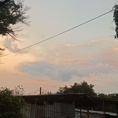 Praewa010953's profile picture. 