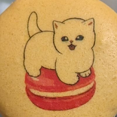 のりちゃん(y)さんのプロフィール画像