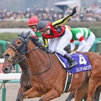 障ブし (@syoubushi2) 's Twitter Profile
