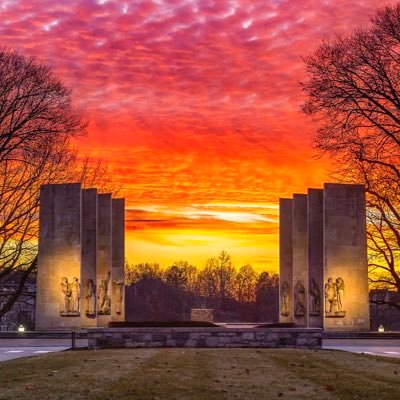 239BigFish's profile picture. The Bills are the only thing that keep me going anymore. It’s that bad.