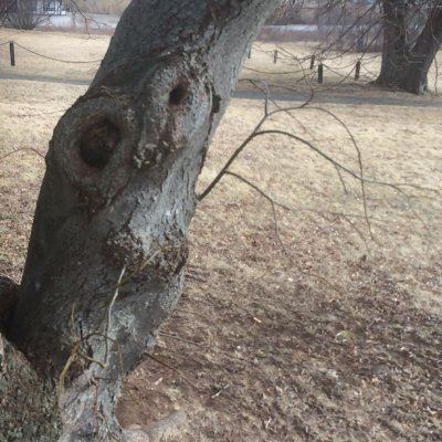 reg42086's profile picture. Lover of all things