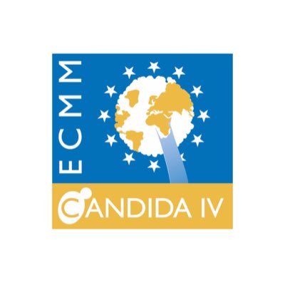 ECMM Candida IV Profile
